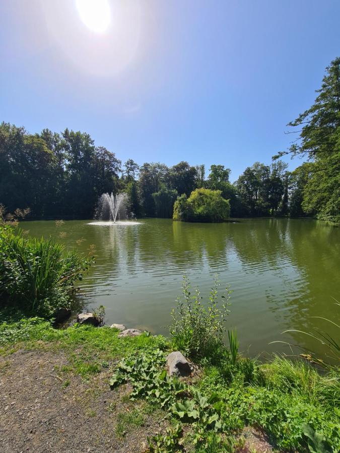Apartmán Fe Wo Nele Alsfeld Exteriér fotografie